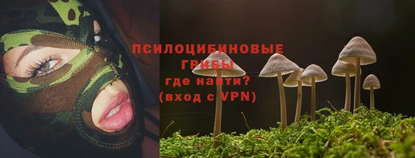 прущая мука Иннополис