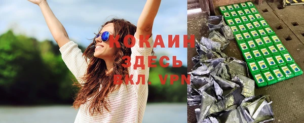 мет Инсар