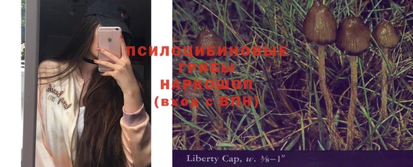 прущая мука Иннополис