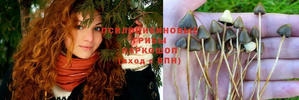 таблы Инта
