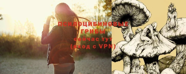 мет Инсар