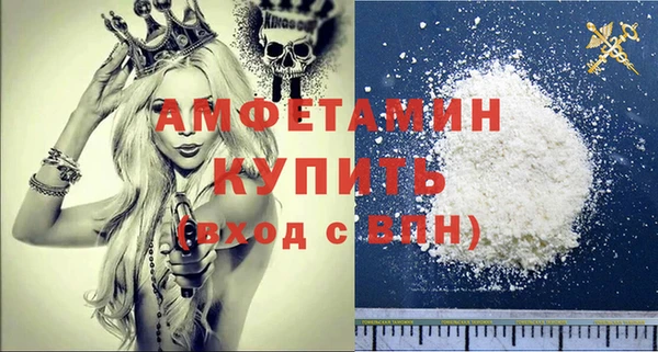 мет Инсар